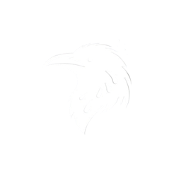 Tocka Nest Logo
